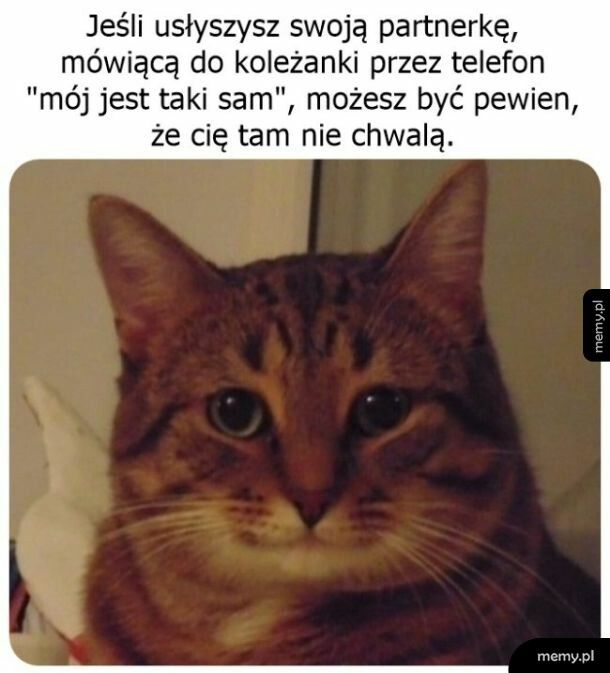 Zgadza się