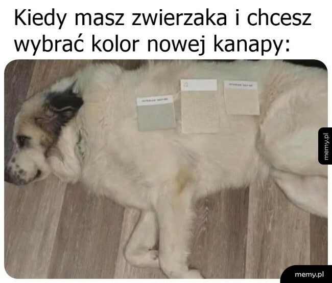 To jedyne słuszne wyjście