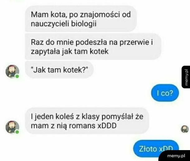 Jak tam kotek