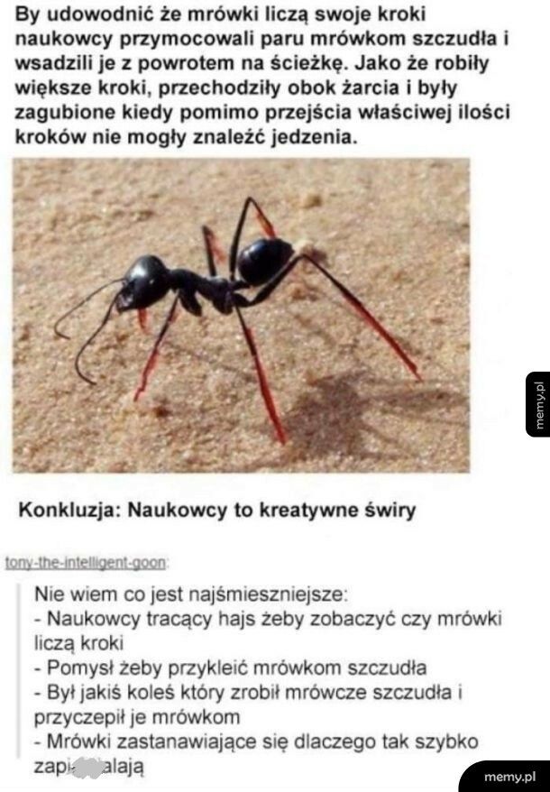 Badania naukowe