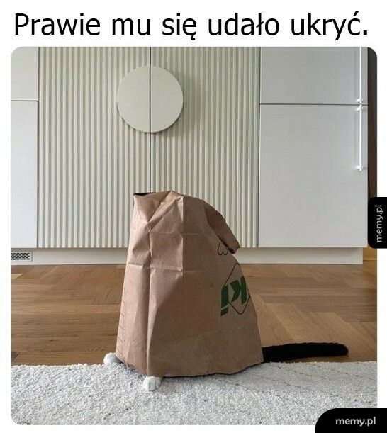 Prawie