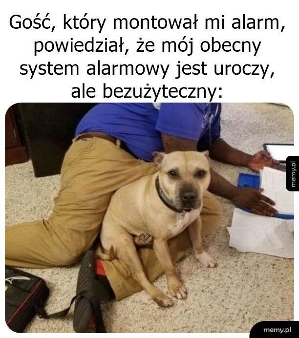 Ciężko się nie zgodzić