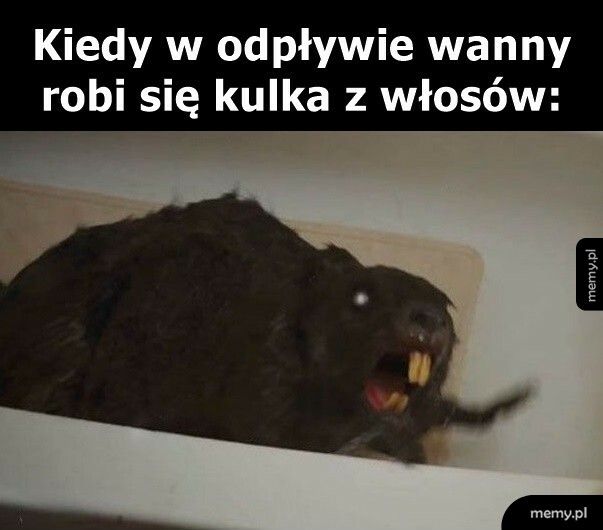 Kula z włosów