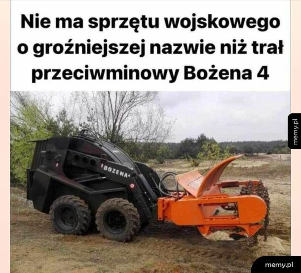 Bożenka