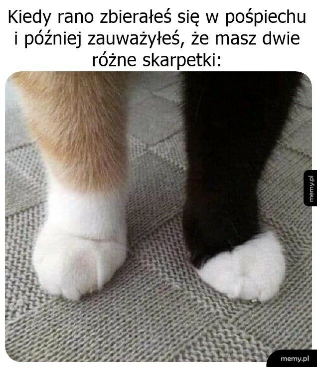 Tak miało być