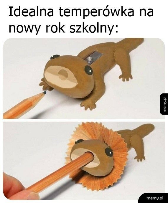 Dorośli też taką chcą!