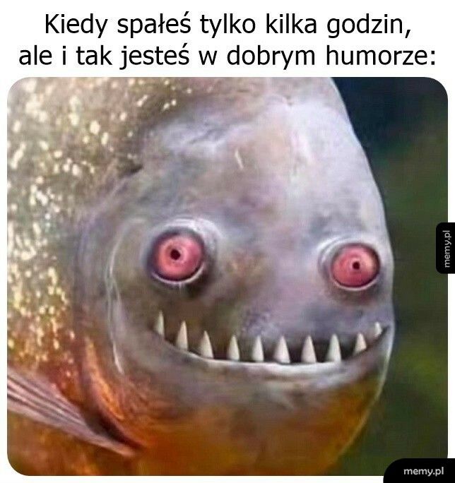 Nic nie szkodzi