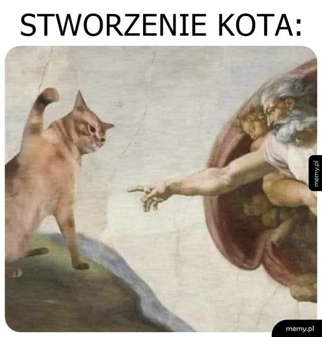 Jest i łapa mocy