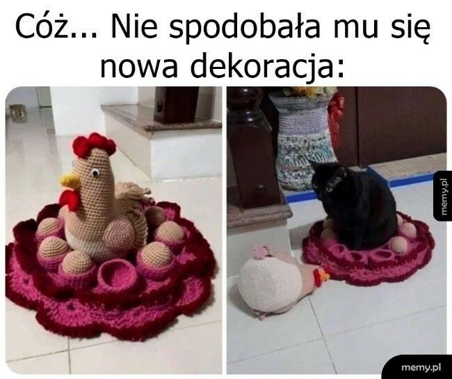 Mruczek wyraził swoje zdanie