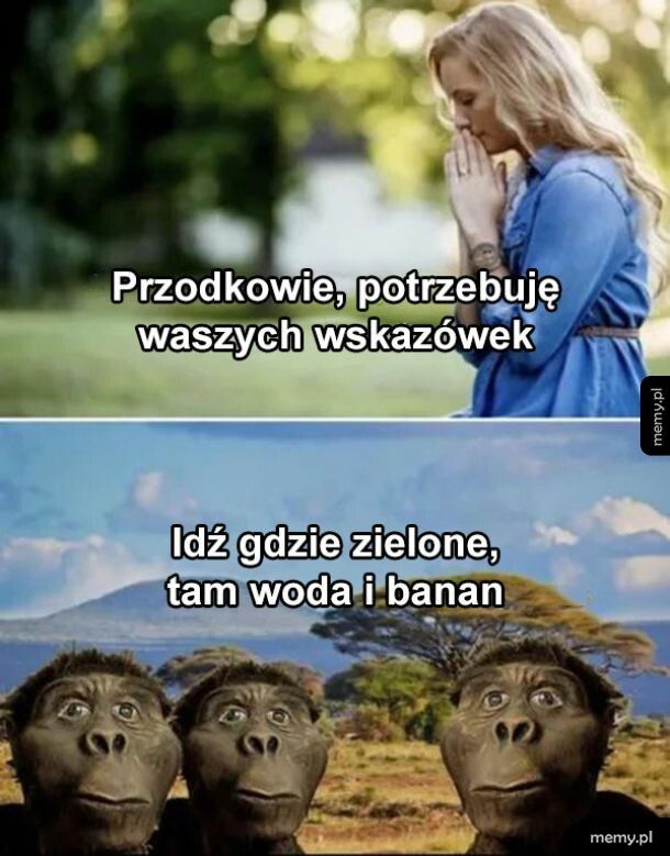 Wskazówki od przodków