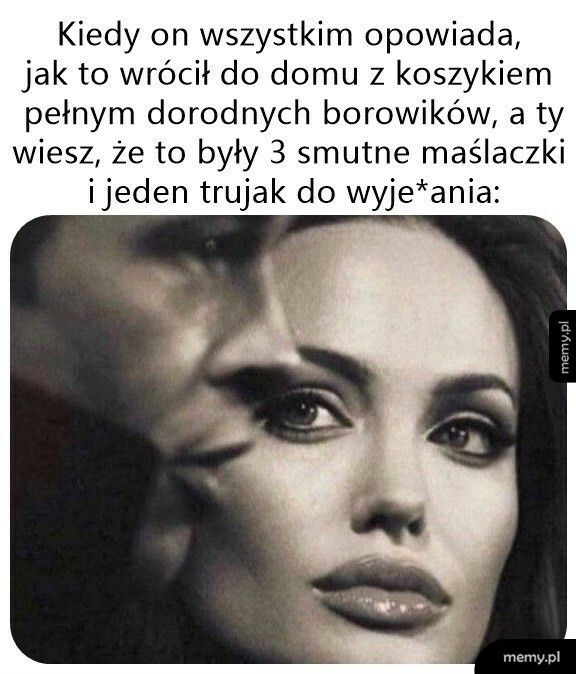 Grzybiarz się znalazł