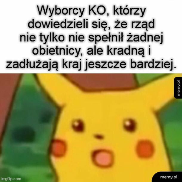 Wyborcy ko