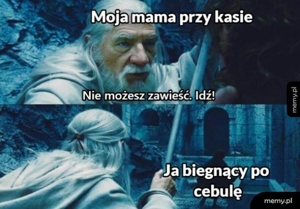 Ważna misja