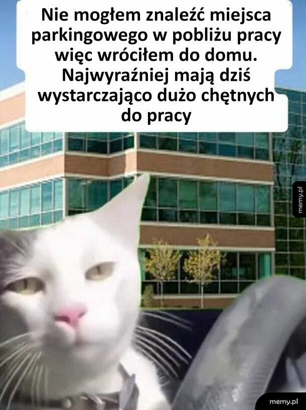 Nie było miejsc parkingowego