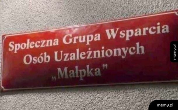 Kolorowa małpka