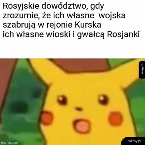 Jak to w ogóle możliwe? Armia której stosujesz politykę terroru nie ogranicza się do wroga?