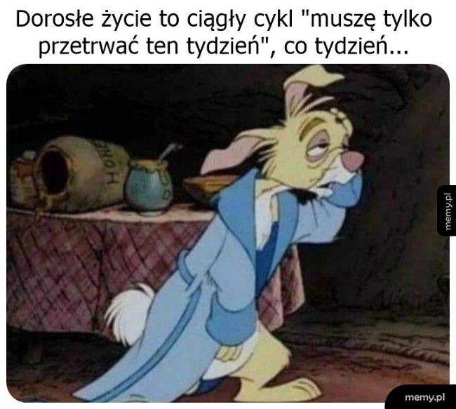 I tak to się żyje