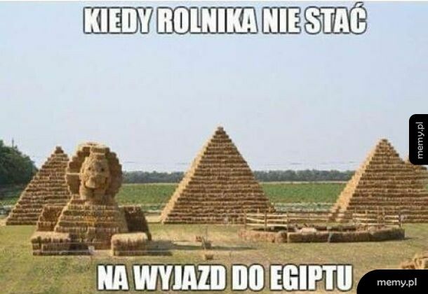 Wyjazd do Egiptu