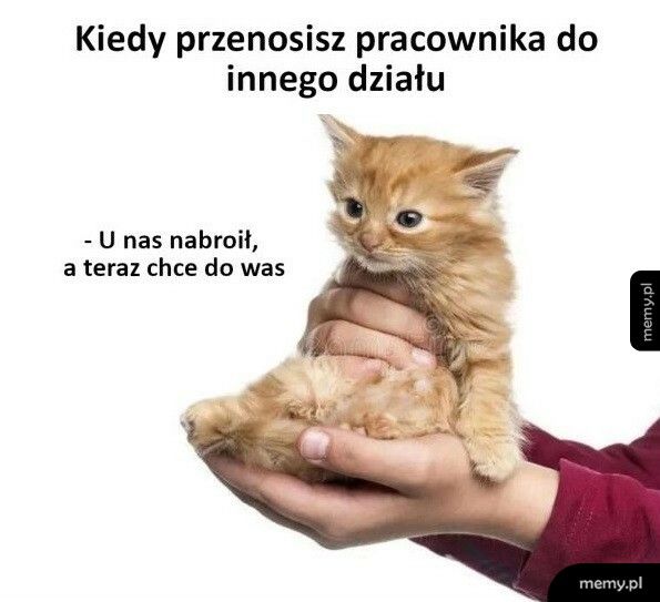 Weźcie go sobie