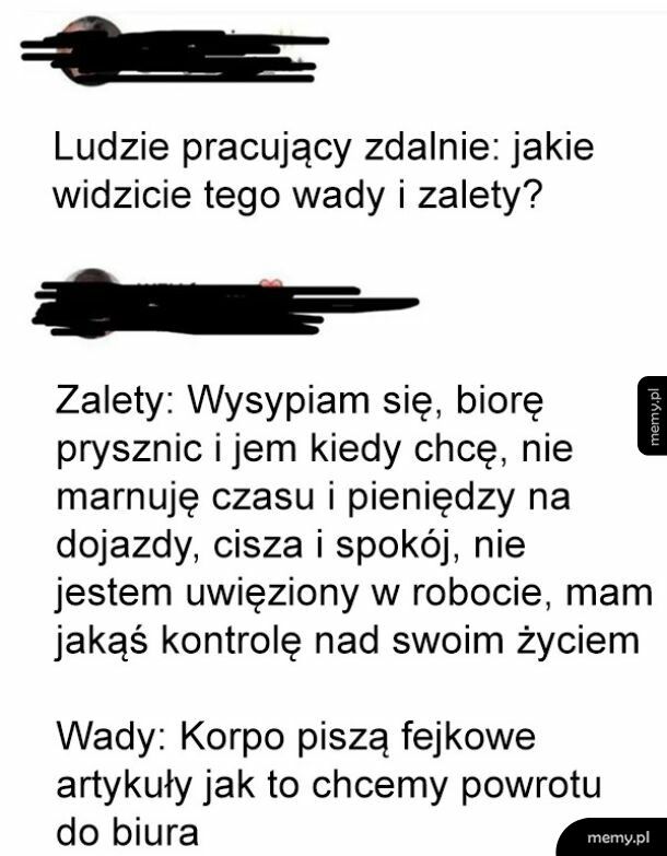 Wady i zalety pracy zdalnej