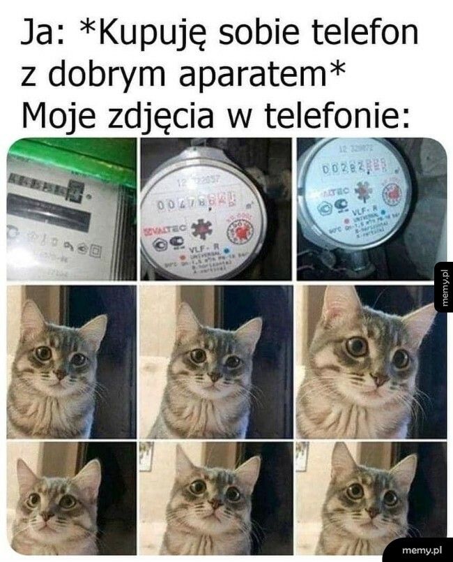 Zdjęcia w telefonie