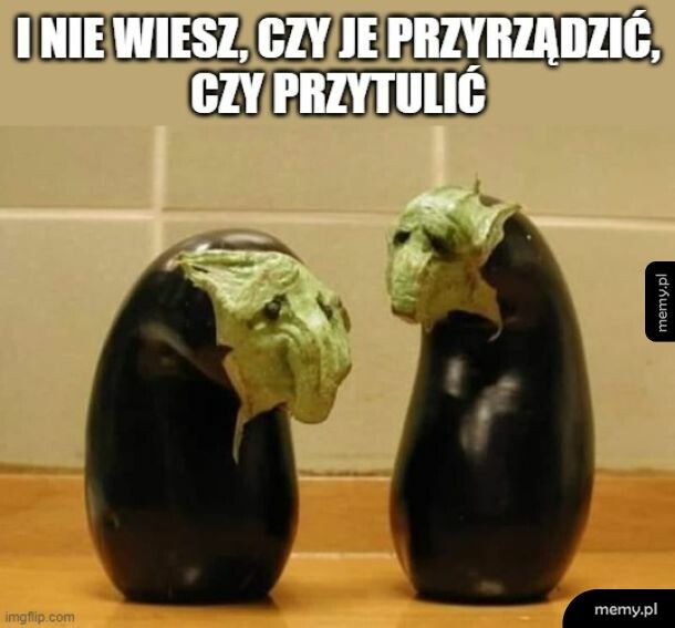 Co te bakłażany?