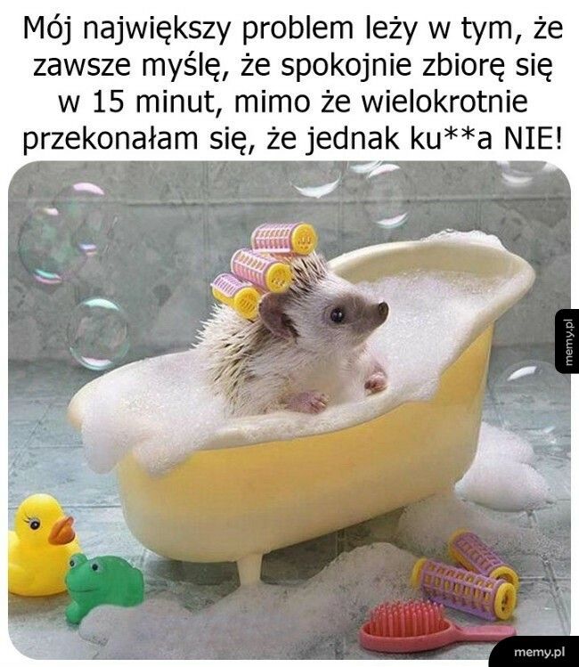 Sorry, jednak się spóźnię