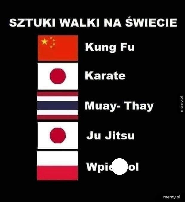 Sztuki walki na świecie