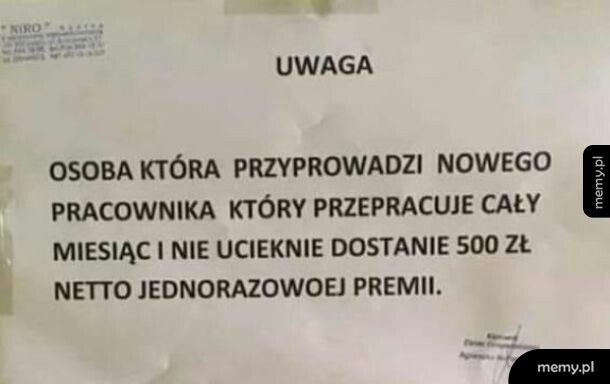 Ciekawe jakie warunki pracy tam są?