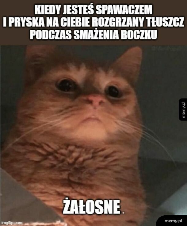 Postaraj się mocniej, boczku