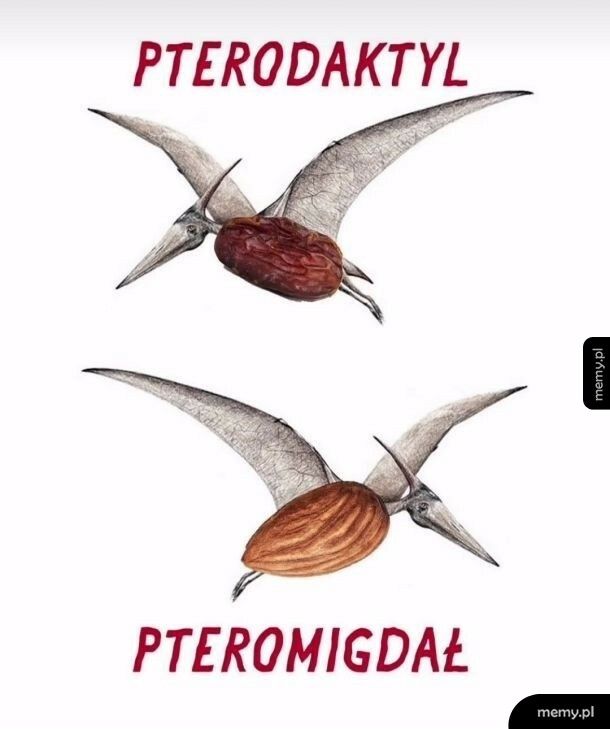 Pteromigdał