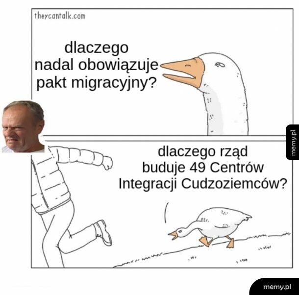 omerta i tematy zastępcze, a zaraz zwalą się hordy doktorów i inżynierów