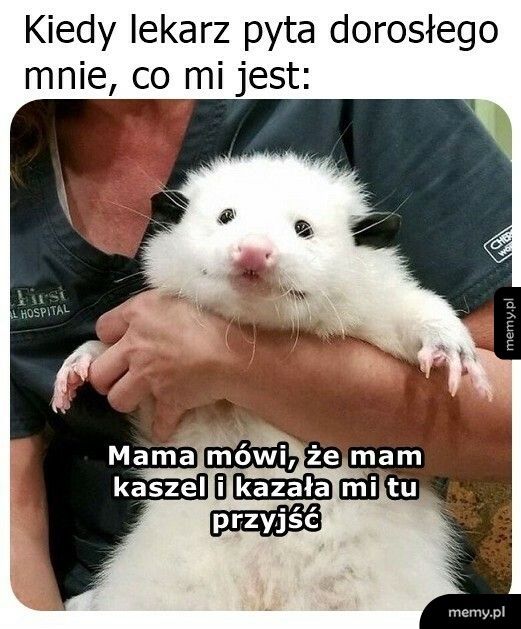 Nic więcej nie wiem