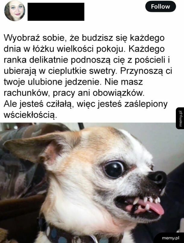 Zaślepienie