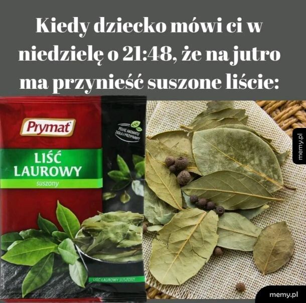 Zawsze pod ręką