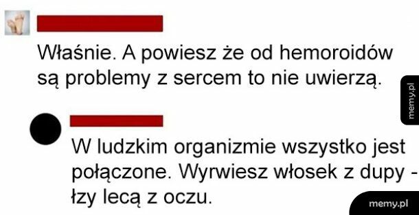 Wszystko połączone