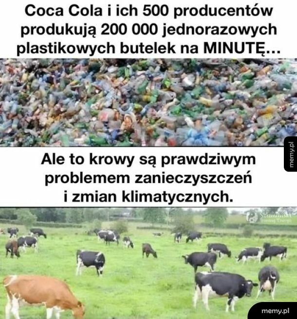 Ale to papierowe słomki pomogą