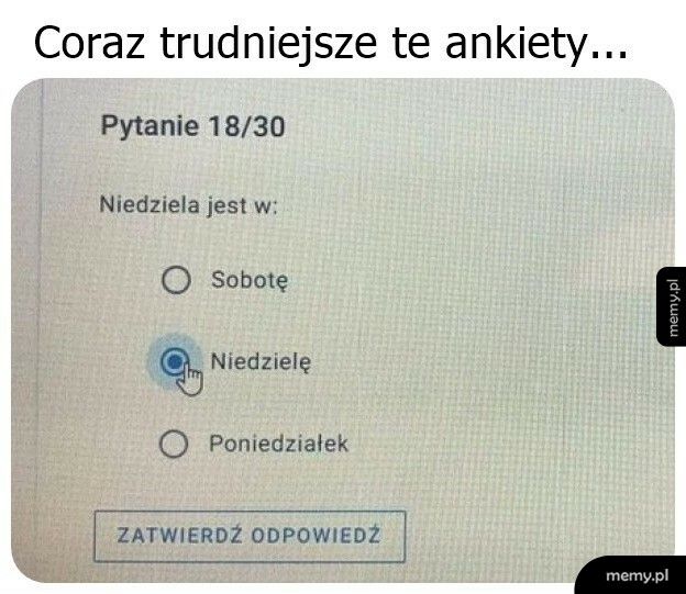 No już bez przesady