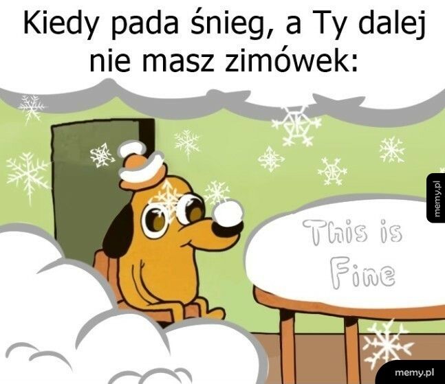 Znów się zaspało