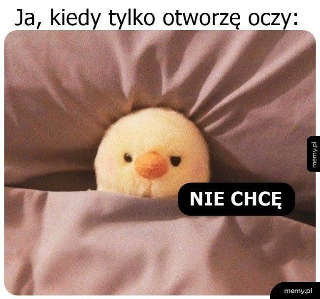 Już od rana