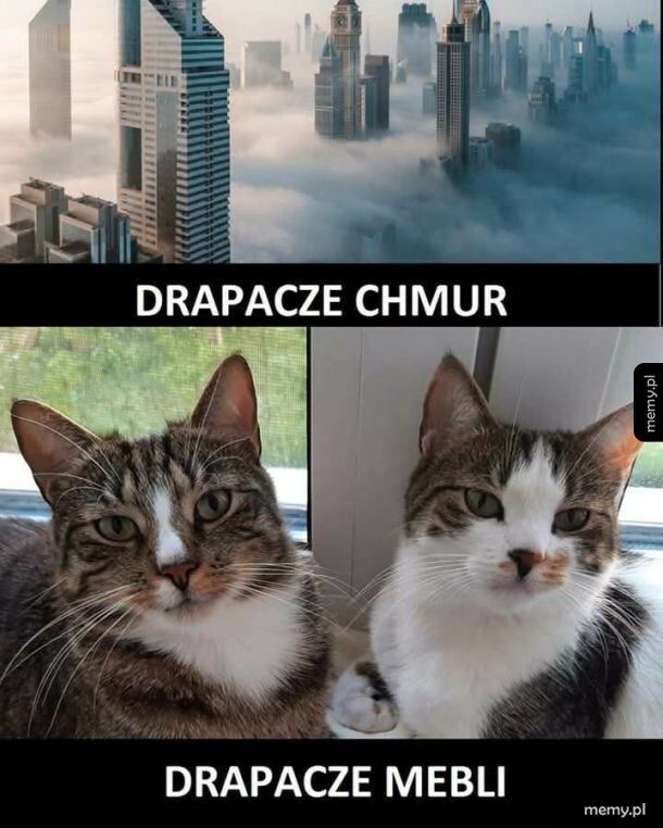 Drapacze