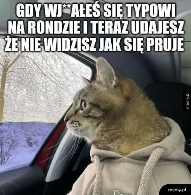 Nic nie widzę