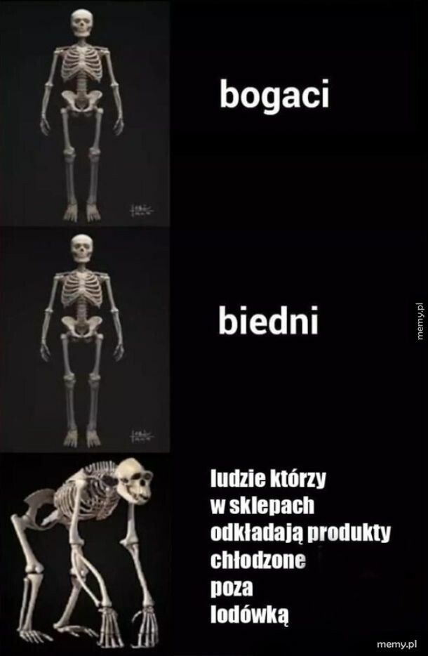 Biedni, pewnie im coś dolega