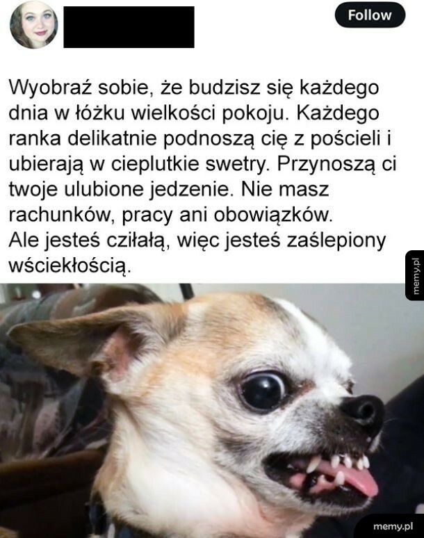 Wyobraź sobie