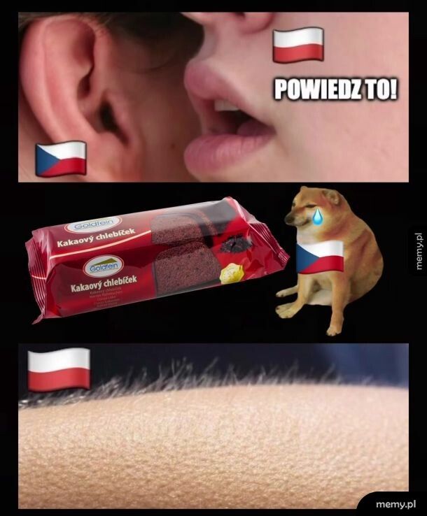 Piękny język