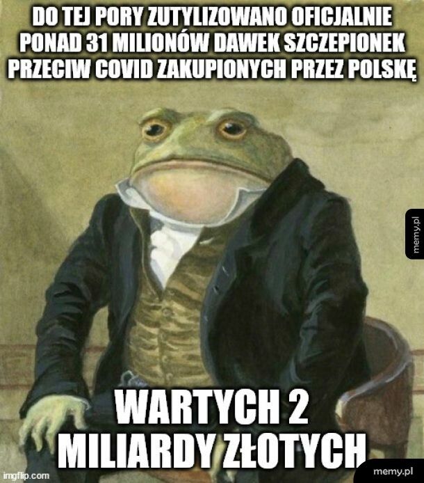 Kumasz to człowieku?