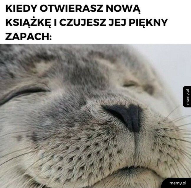 Nie ma to jak zapach nowej książki