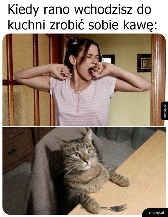 Już czeka na śniadanie