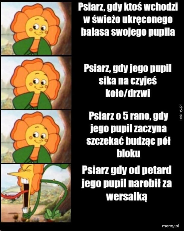 Nie przesadzajcie z petardami