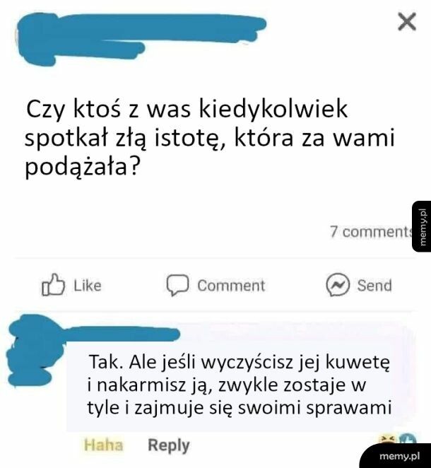 Zła istota